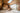Zion Dreams | Ananda Living Experiences - Sandy Vans