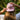 A person seen from behind wearing a light pink cap with the black logo and text Sandy Vans, standing in a sunlit forest.